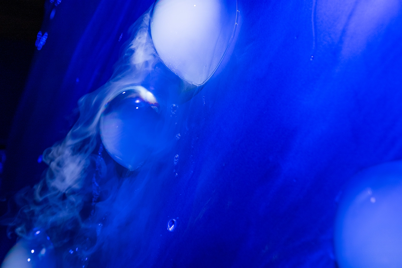 symbiosis_1.webp